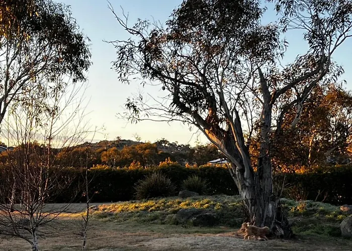 Winterwood Lodge - 6Mins Jindabyne Pets Allow Floor Heating Farm Stay